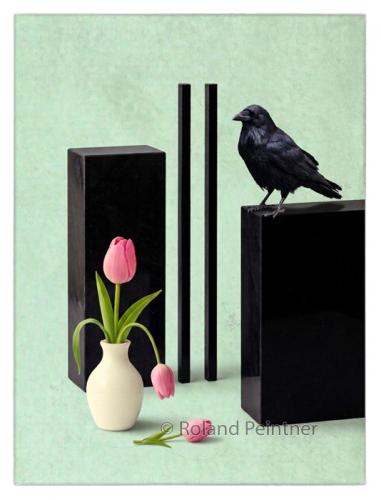 Rabe und Tulpen 26