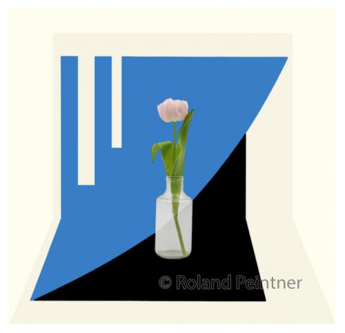 Tulpe im Glas